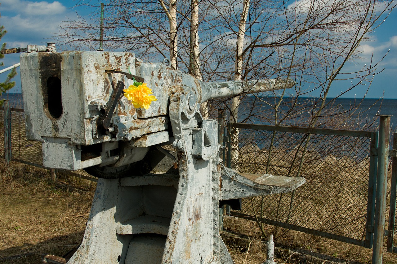 Evaluating the Future of Advanced Naval Defense Systems
